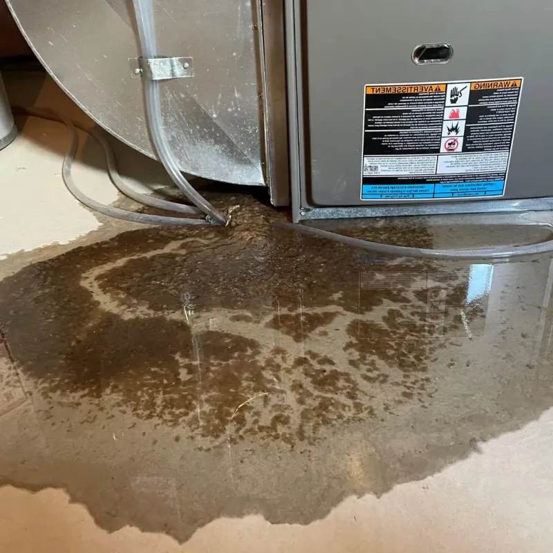 Pipe Burst and Leak Restoration in Chicago Lawn, IL